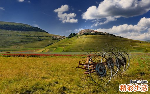 【如何补充胶原蛋白】有效补充胶原蛋白