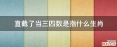 直截了当三四数是指什么生肖