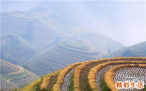 神经性贪食引发什么疾病