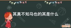 其真不知马也的其是什么