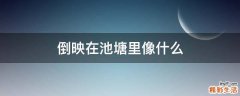 倒映在池塘里像什么