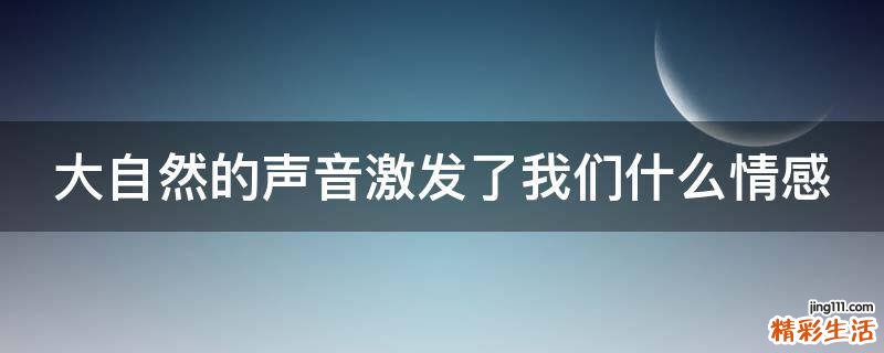 大自然的声音激发了我们什么情感