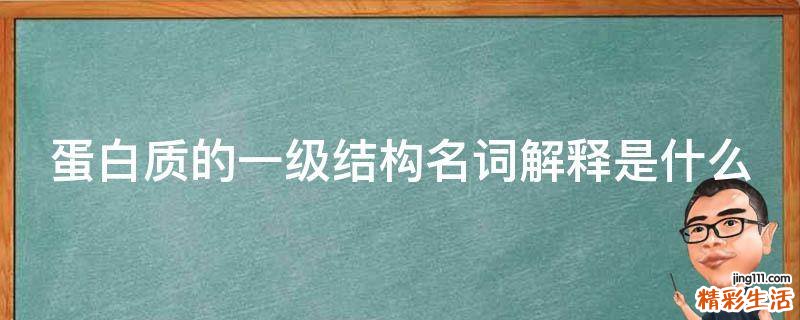 蛋白质的一级结构名词解释是什么