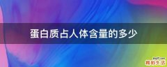 蛋白质占人体含量的多少