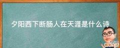 夕阳西下断肠人在天涯是什么诗