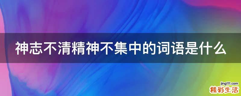 神志不清精神不集中的词语是什么