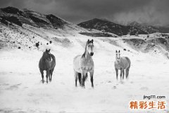 2 粉碎性骨折