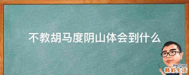 不教胡马度阴山体会到什么