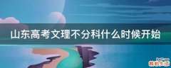 山东高考文理不分科什么时候开始
