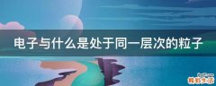电子与什么是处于同一层次的粒子