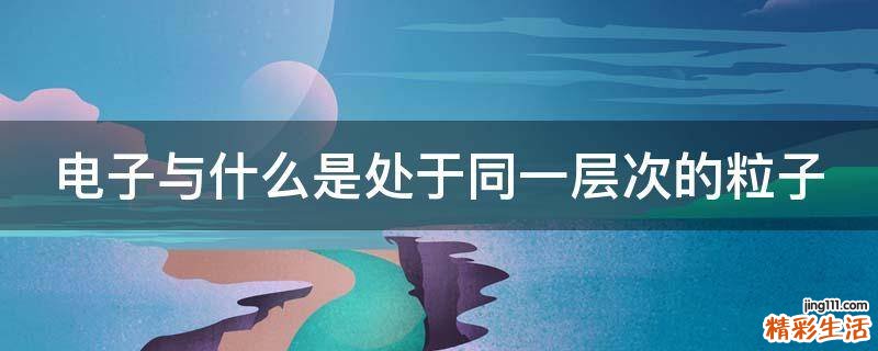 电子与什么是处于同一层次的粒子