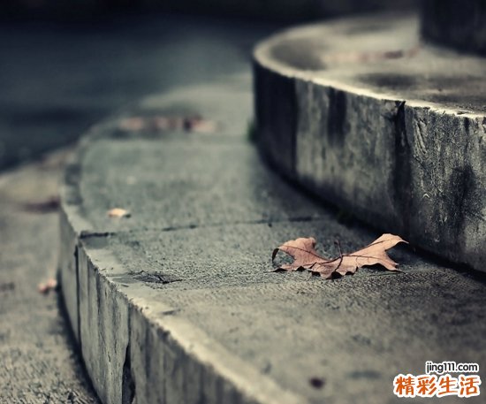 道班征