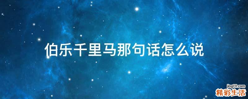 伯乐千里马那句话怎么说