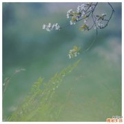 儿童分泌性中耳炎 需早治