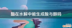 酯在水解中能生成酸与醇吗