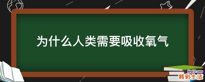 为什么人类需要吸收氧气