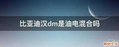比亚迪汉dm是油电混合吗