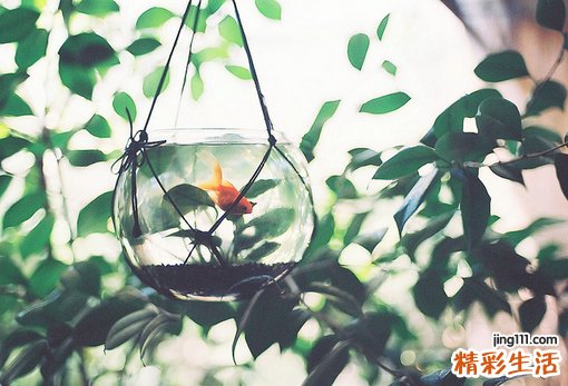 4 3到8岁的孩子最需要心理辅导