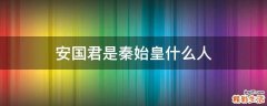 安国君是秦始皇什么人