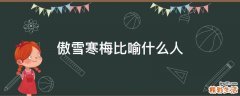傲雪寒梅比喻什么人