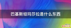 巴基斯坦玛莎拉是什么东西