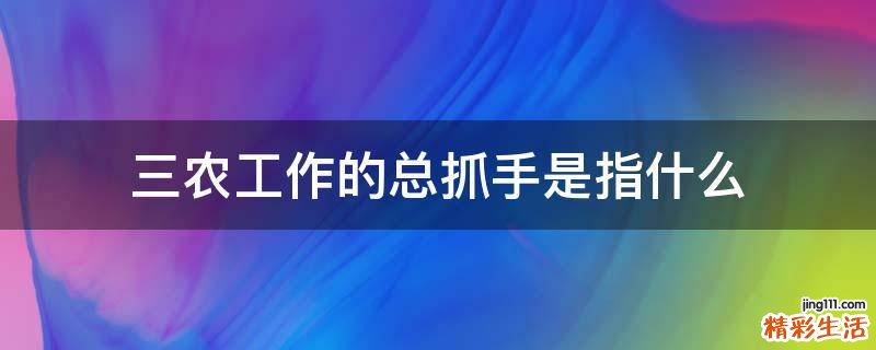 三农工作的总抓手是指什么