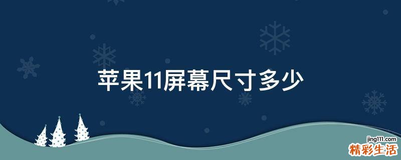 苹果11屏幕尺寸多少