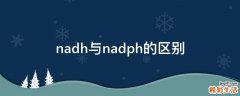 nadh与nadph的区别