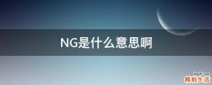 NG是什么意思啊