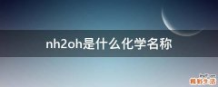 nh2oh是什么化学名称