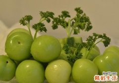 青枣可以泡酒吗 青枣泡酒的功效与作用