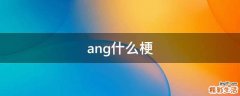 ang什么梗