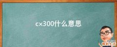 c×300什么意思
