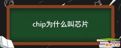 chip为什么叫芯片