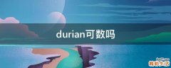 durian可数吗