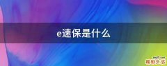 e速保是什么