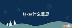 faker什么意思