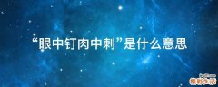 “眼中钉肉中刺”是什么意思