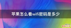 苹果怎么看wifi密码是多少