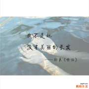 4 三翅铁角蕨