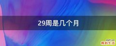29周是几个月