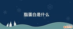 脂蛋白是什么