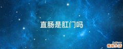 直肠是肛门吗
