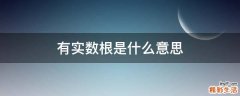 有实数根是什么意思