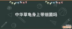 中华草龟身上带细菌吗