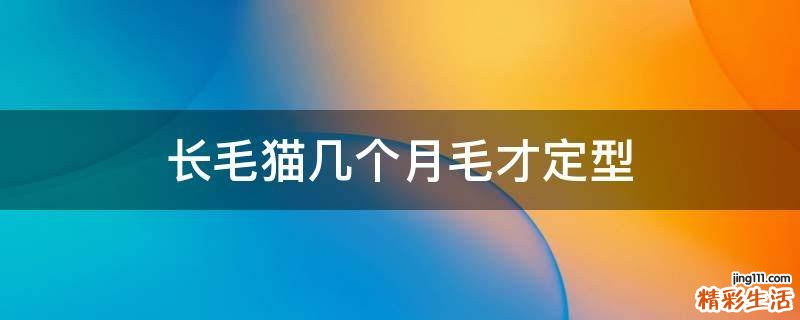 长毛猫几个月毛才定型