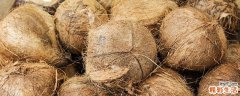 椰子肉怎么做甜品 椰子肉甜品的做法
