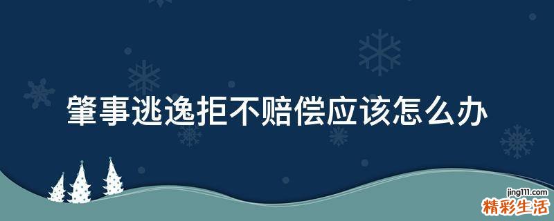 肇事逃逸拒不赔偿应该怎么办