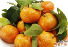 砂糖桔的功效与作用