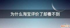 为什么淘宝评价了却看不到